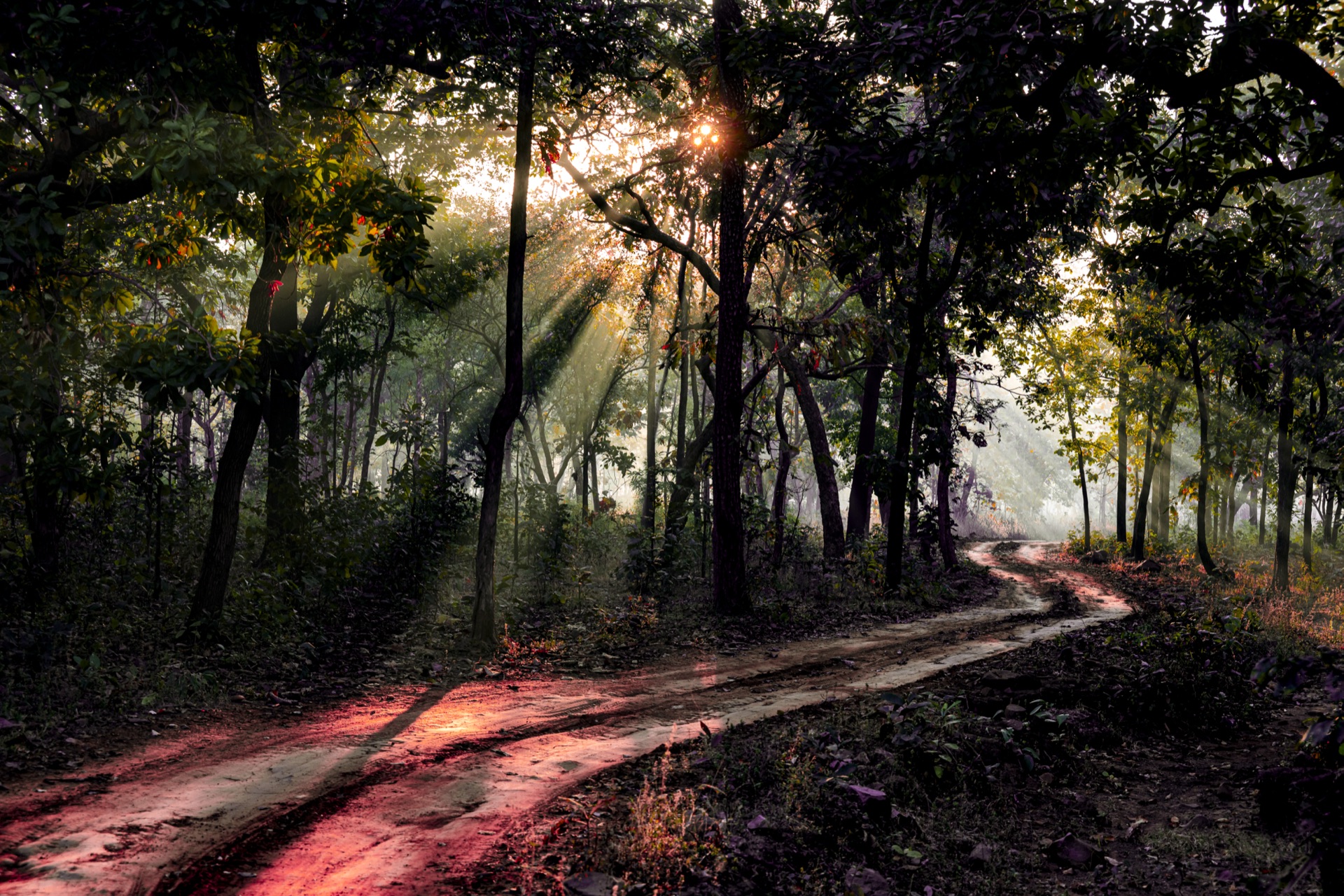 Candid photography moment