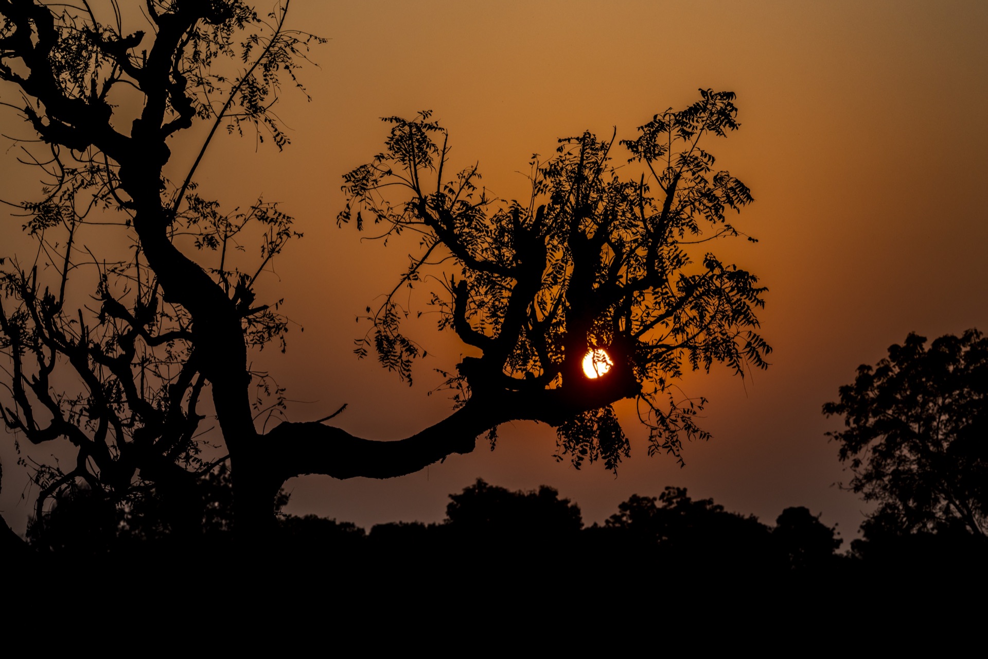Classic black and white portrait