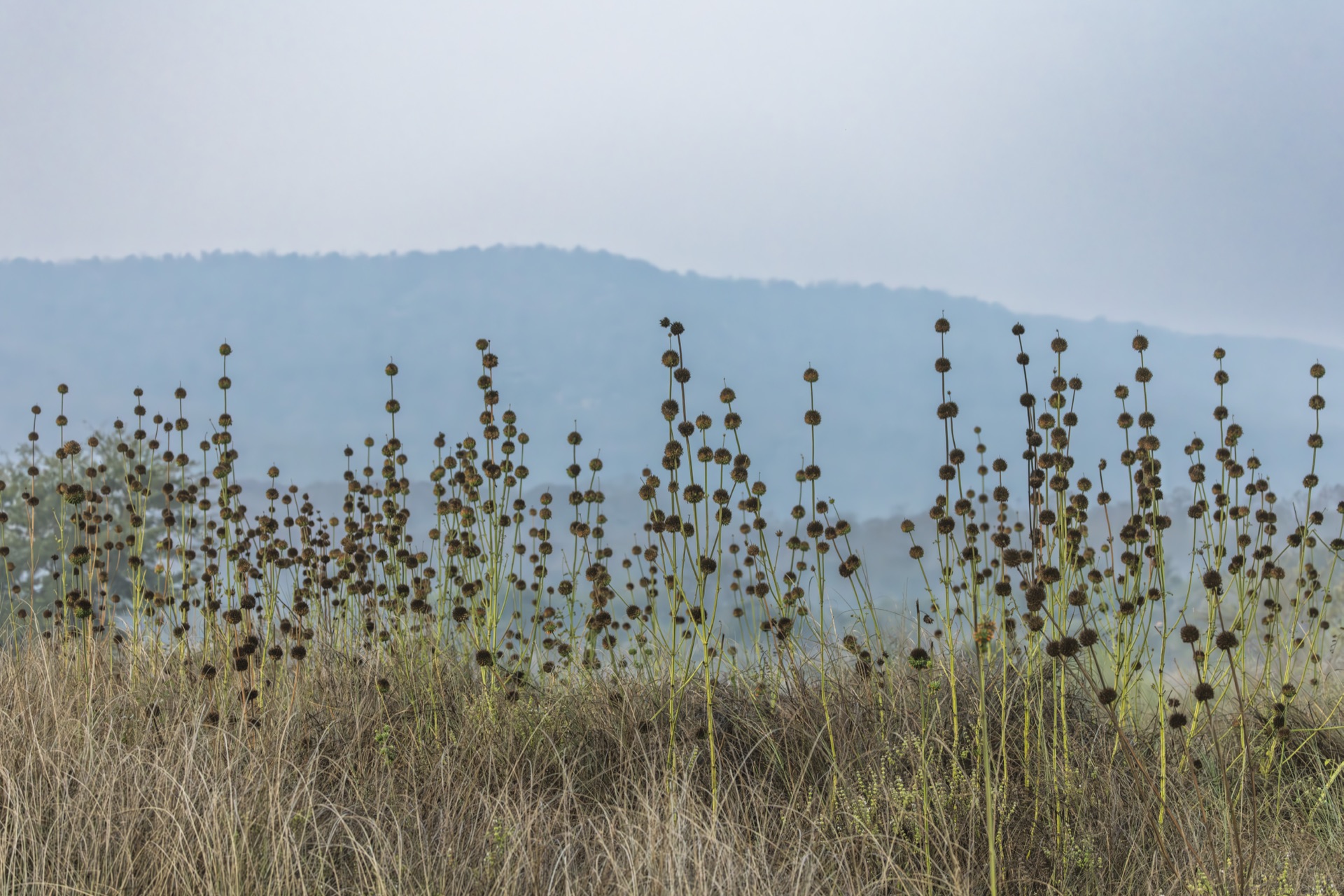 Moody atmospheric portrait