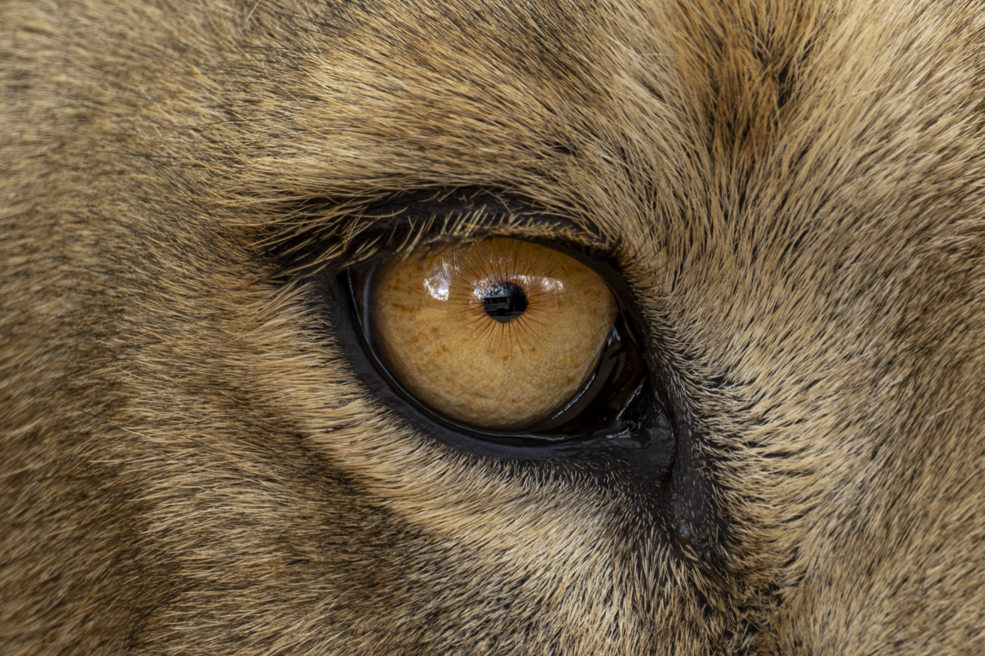 Close-up fashion photography detail