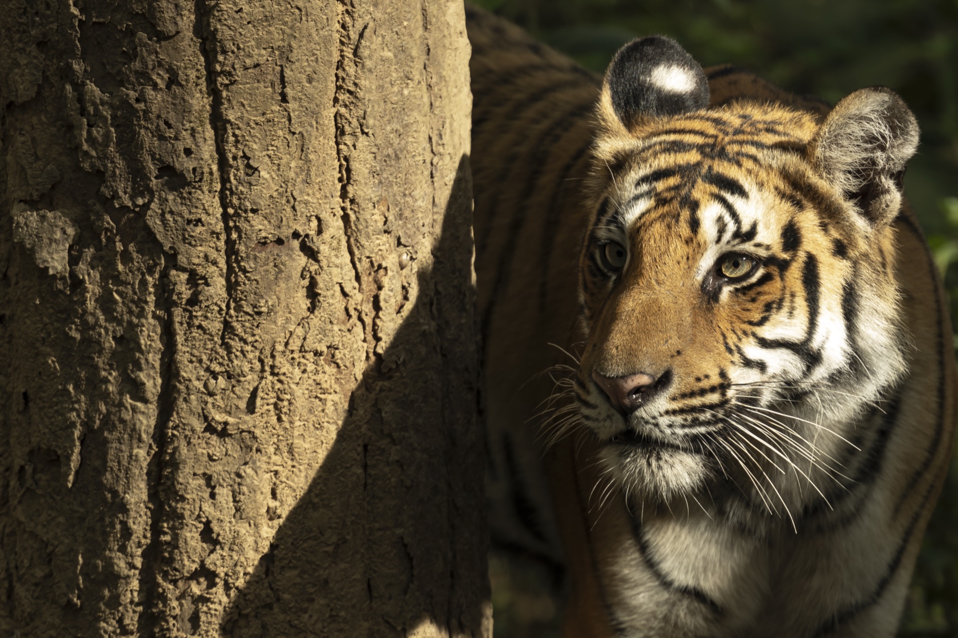 Artistic texture photography