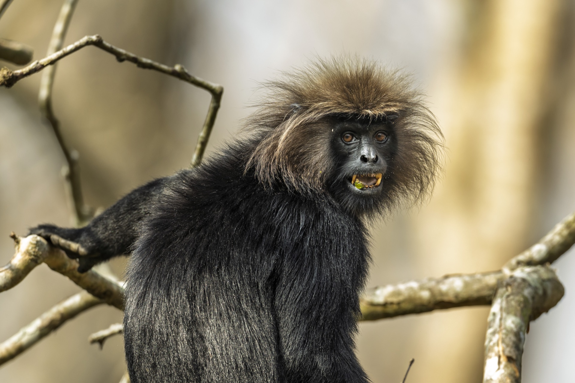 Fine art photography