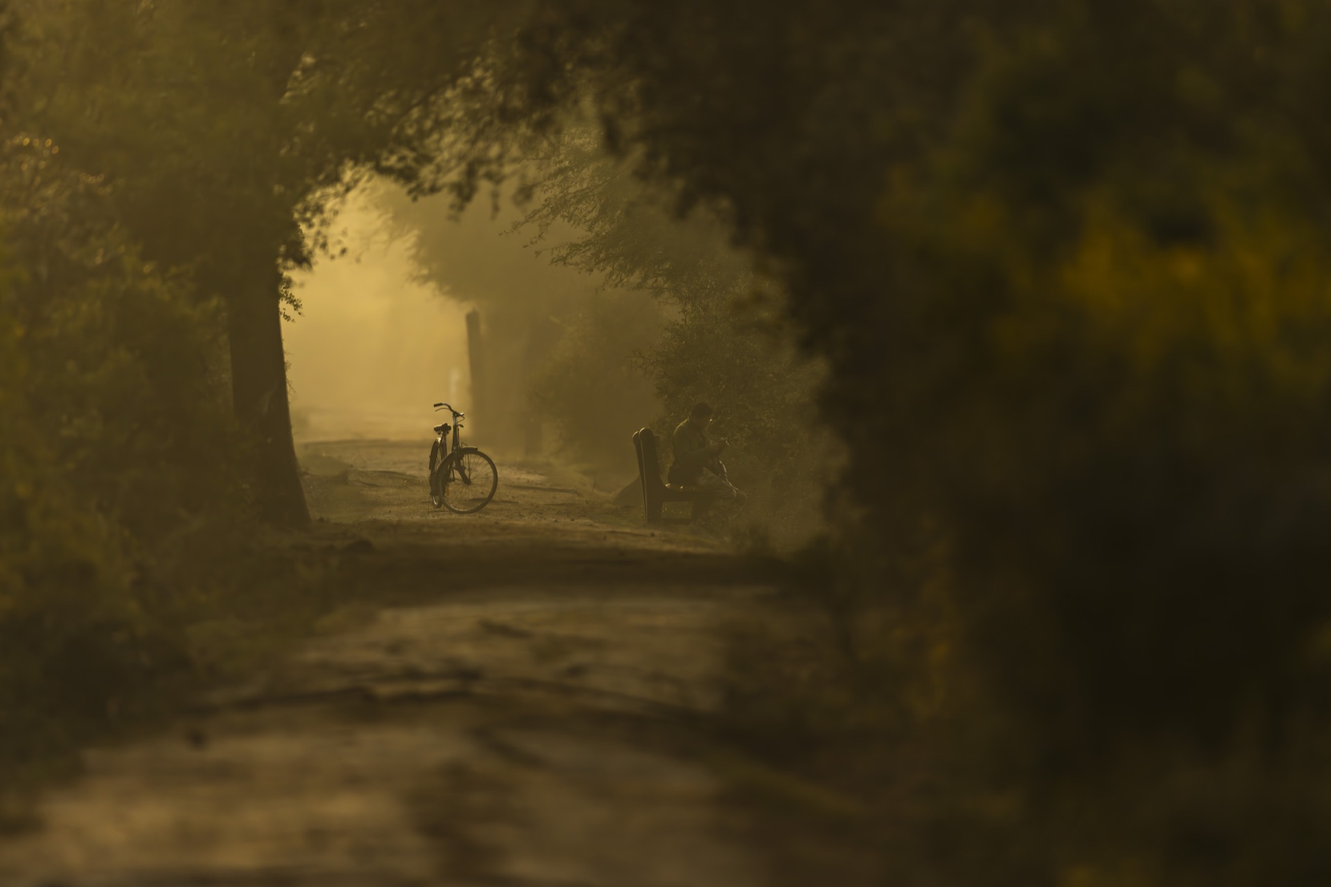 Portrait Photography - Gallery image 2