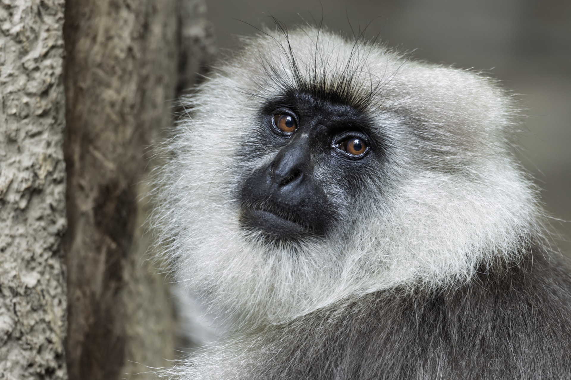 Food & Beverages - Gallery image 3