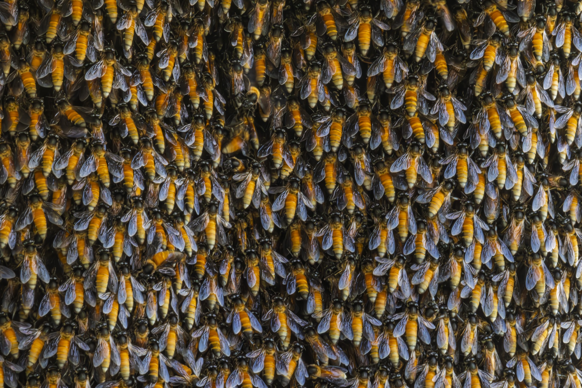 Product Shoot - Gallery image 2