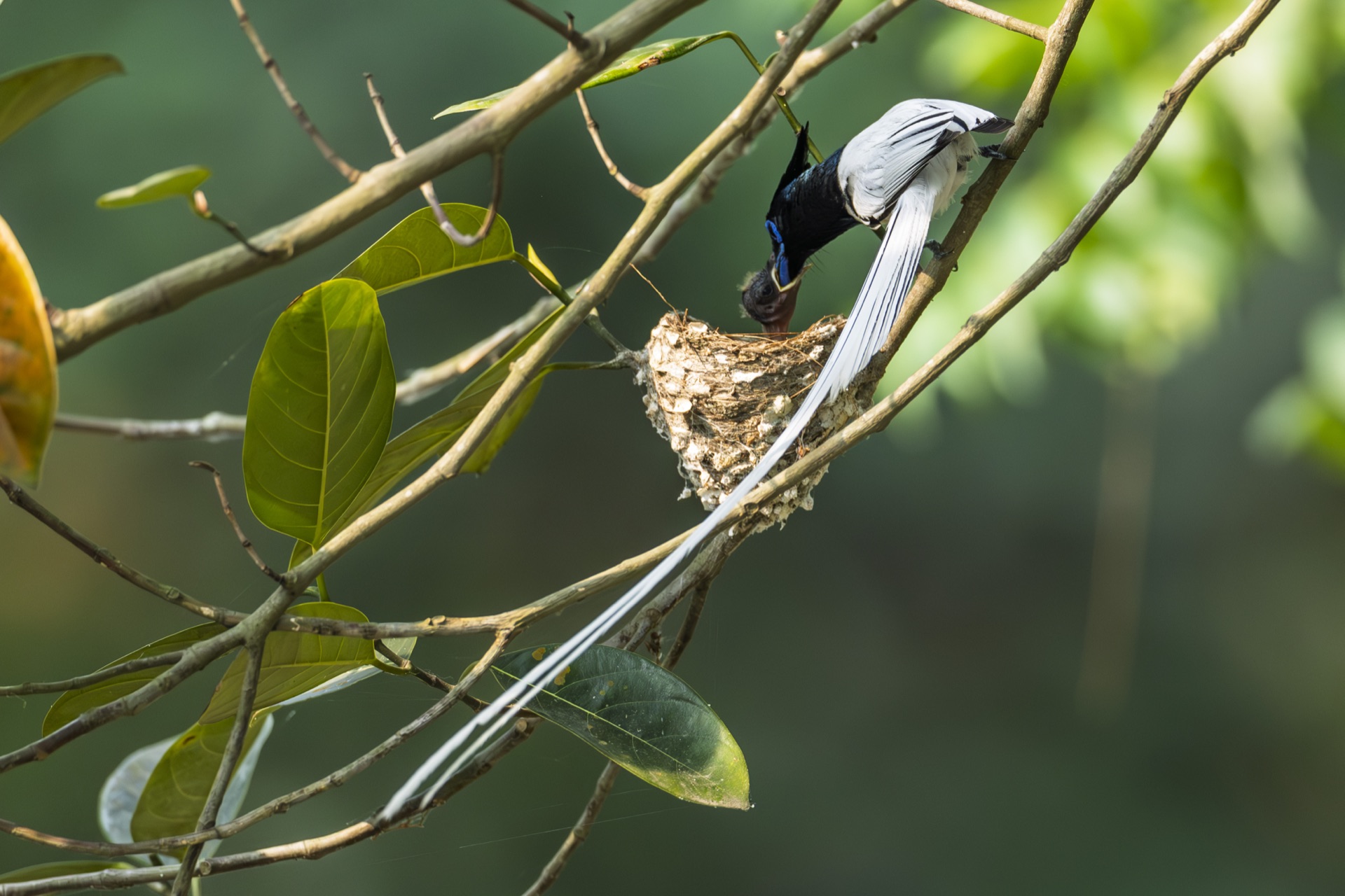 Product Shoot - Gallery image 3