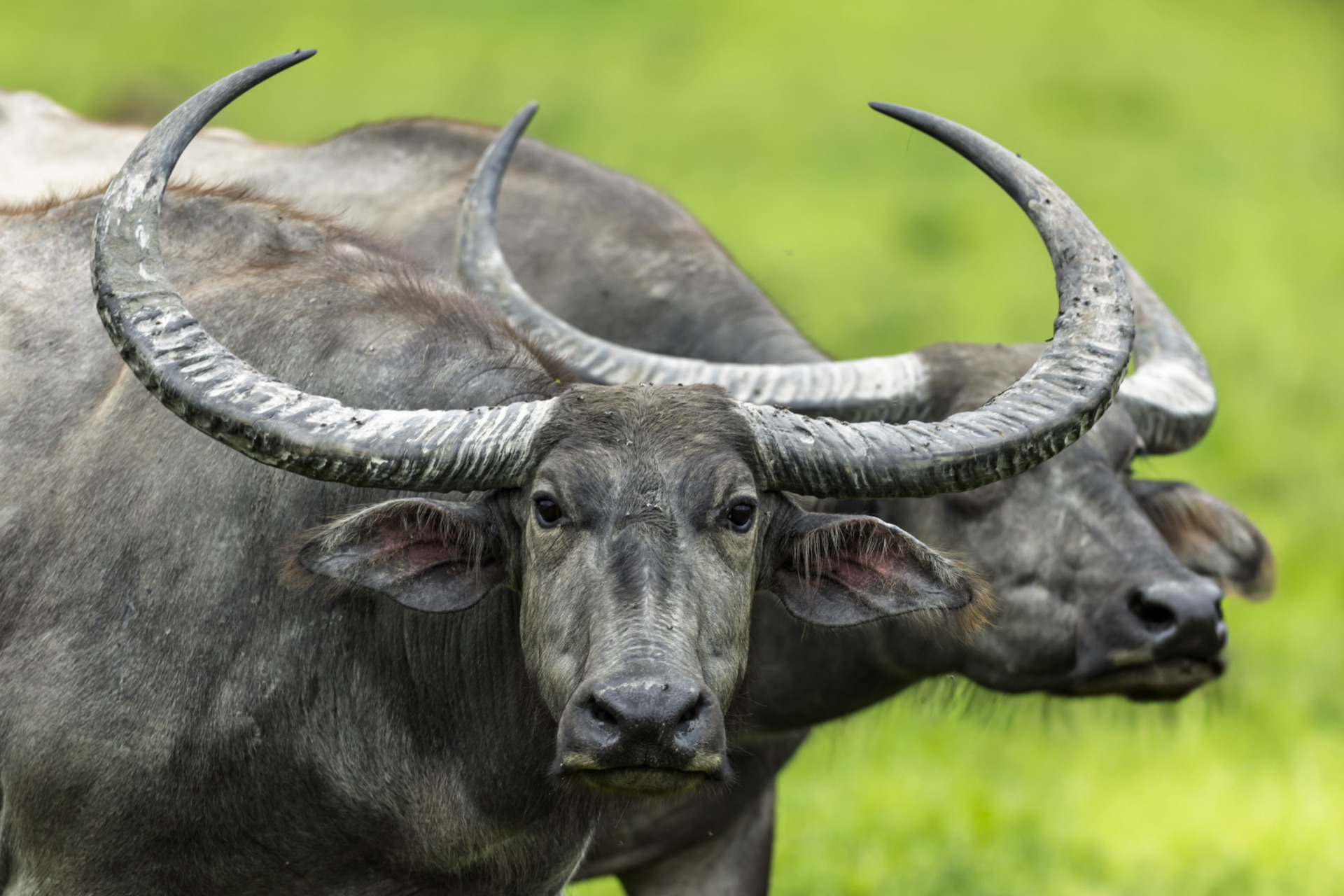 Creating Compelling Talk Show Content: A Producer's Perspective