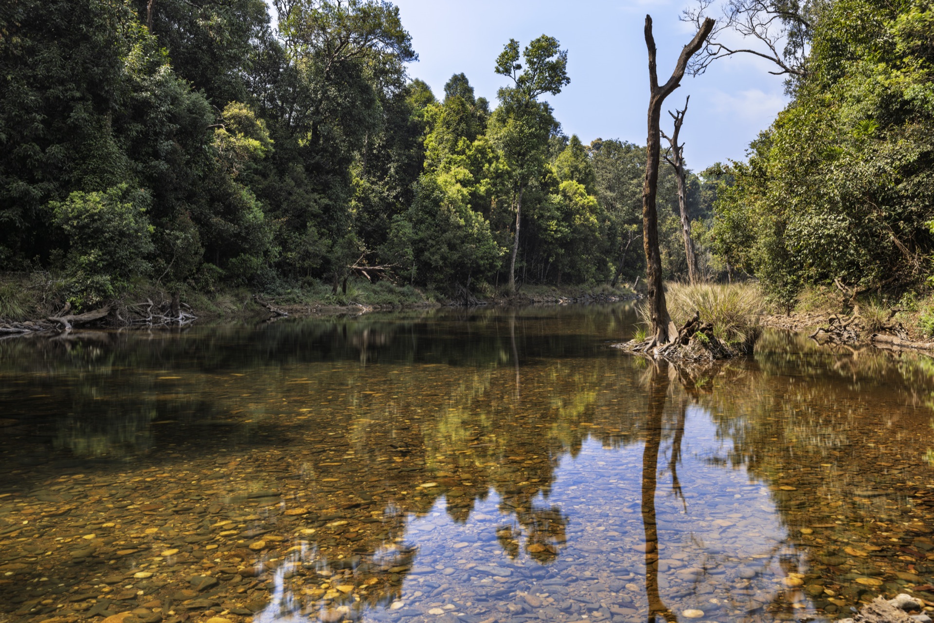 Rental Studio - Gallery image 3