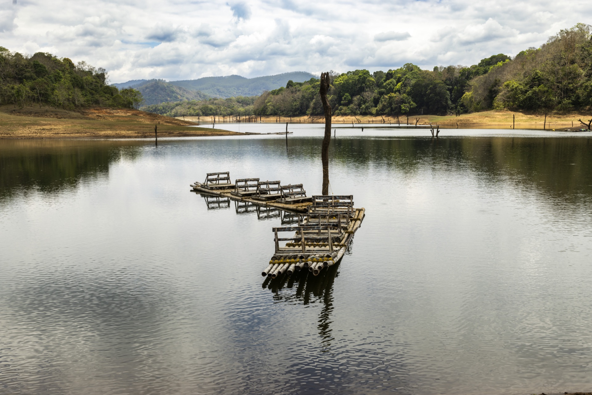 Studio portrait photography